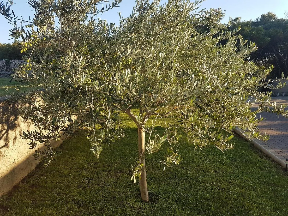 Apartmani Manzoni Punat Apartment